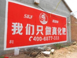  志丹刷墙广告”蕴含了时代命题