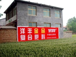  志丹如何让墙体广告展现最大化效果