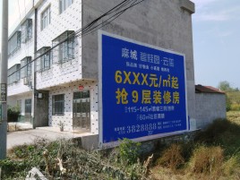  志丹墙体广告质量分析