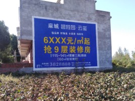 志丹品牌公司青睐的墙体广告