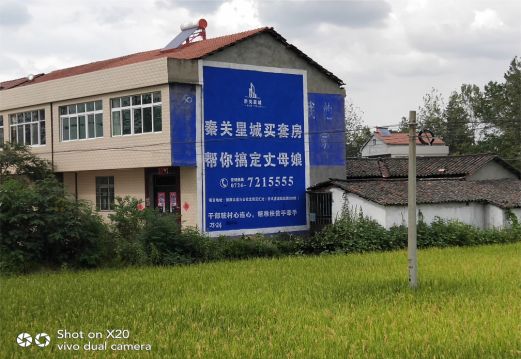 志丹决定墙体广告价格的因素有哪些?