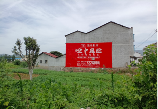 志丹做墙体广告的意义